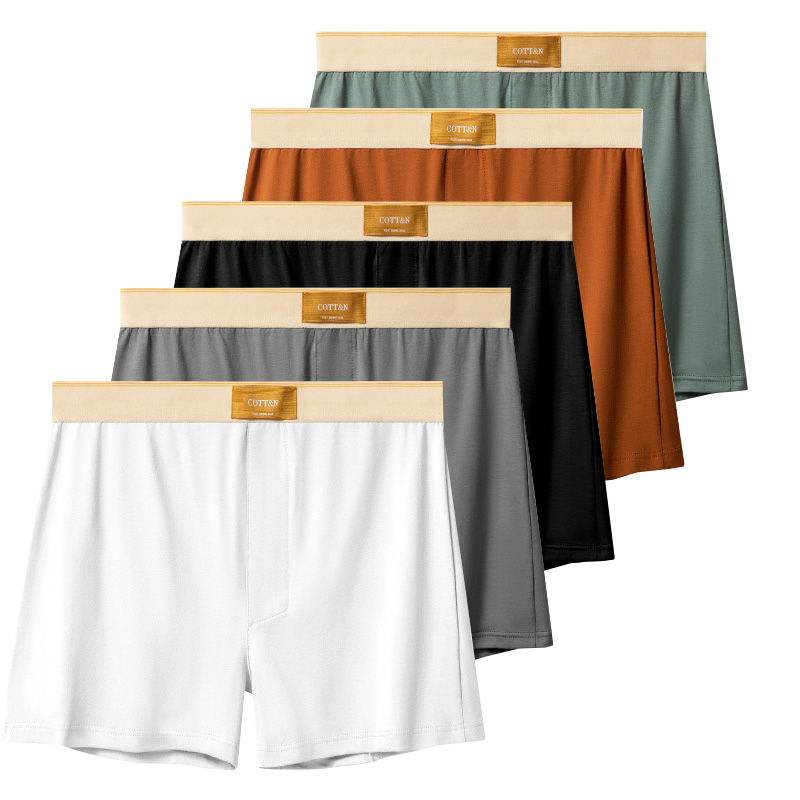 Boyshort Underwear - 4pcs Male Arrow Pants Men Cotton